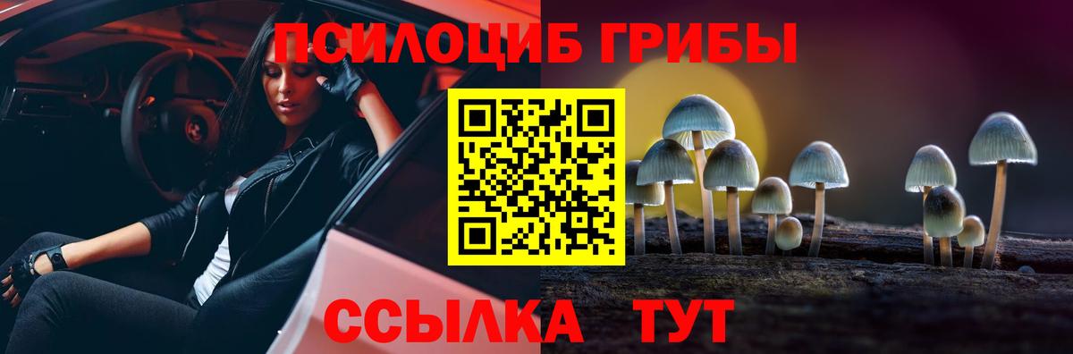 Псилоцибиновые грибы мицелий Каспийск